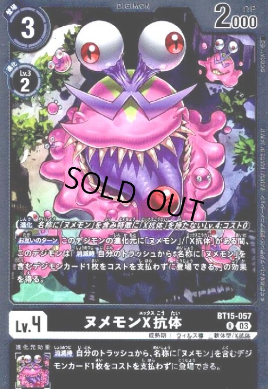 画像1: ヌメモンＸ抗体(R)(BT15-057) (1)