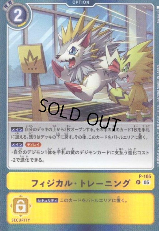 画像1: フィジカル・トレーニング(P/パラレル)(P-105)(Takase) (1)