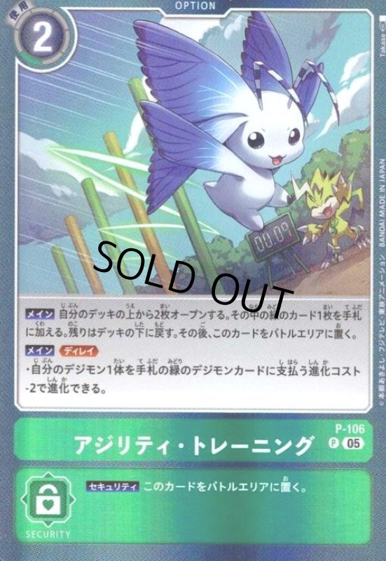 画像1: アジリティ・トレーニング(P/パラレル)(P-106)(Takase) (1)