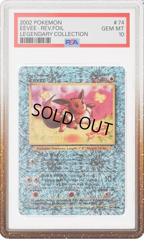 画像1: GradedGuard【Cola】 (1)